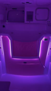 Dark purple mood lighting setting in a Wet Pets van conversion