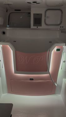 White mood lighting setting in a Wet Pets van conversion