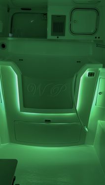 Green mood lighting setting in a Wet Pets van conversion