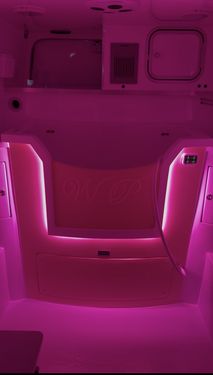 Hot Pink mood lighting setting in a Wet Pets van conversion