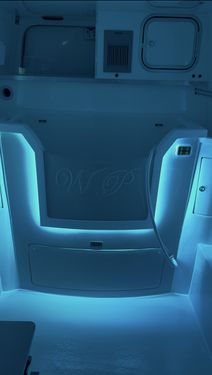Light blue mood lighting setting in a Wet Pets van conversion