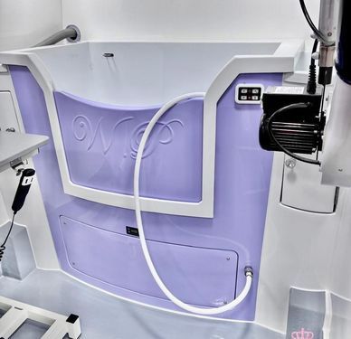 BS 22-D-41 Violet