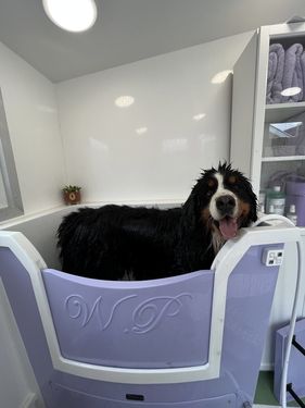 Lilac Bath